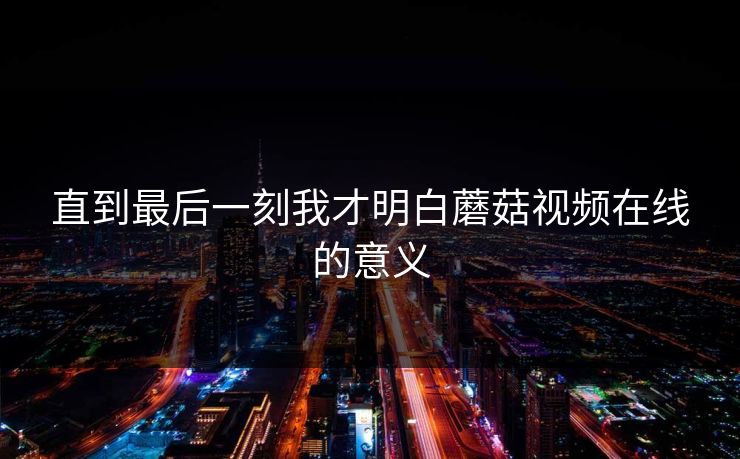 直到最后一刻我才明白蘑菇视频在线的意义