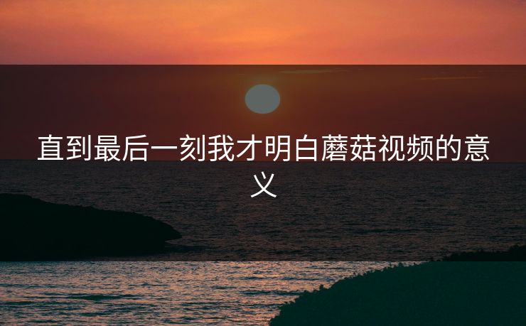 直到最后一刻我才明白蘑菇视频的意义