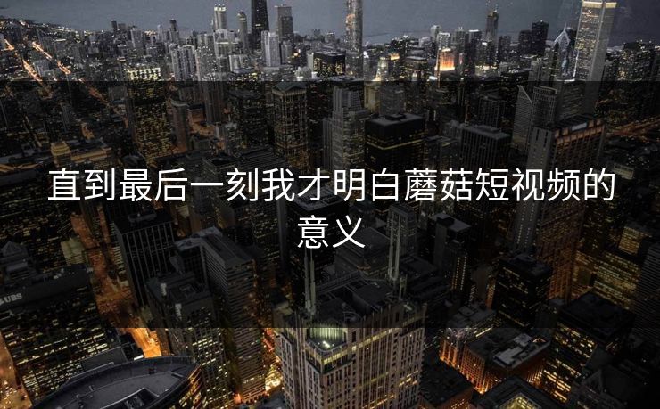 直到最后一刻我才明白蘑菇短视频的意义