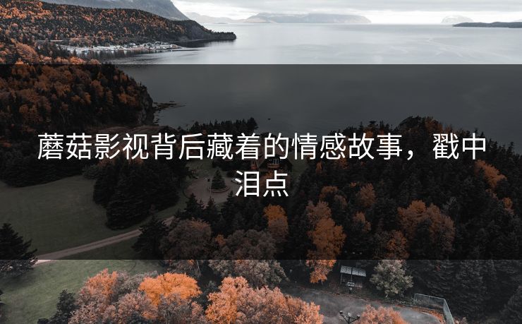 蘑菇影视背后藏着的情感故事，戳中泪点