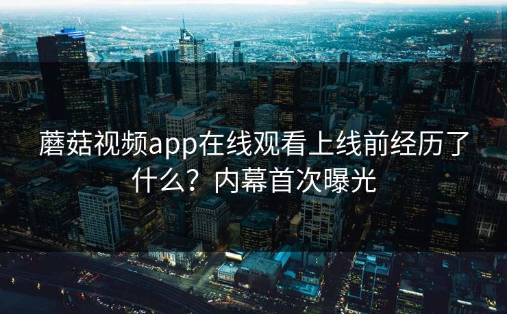 蘑菇视频app在线观看上线前经历了什么？内幕首次曝光