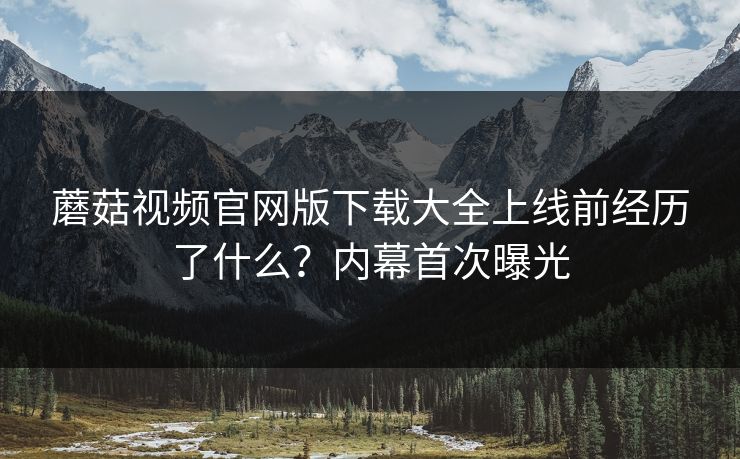 蘑菇视频官网版下载大全上线前经历了什么？内幕首次曝光
