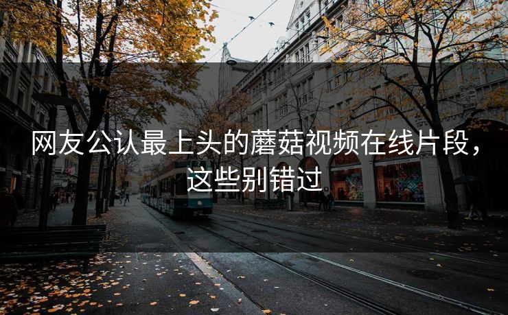 网友公认最上头的蘑菇视频在线片段，这些别错过