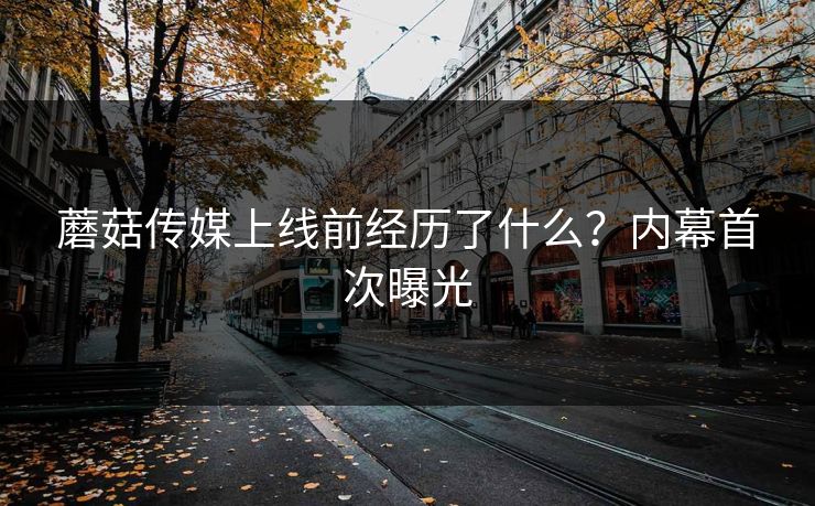 蘑菇传媒上线前经历了什么？内幕首次曝光