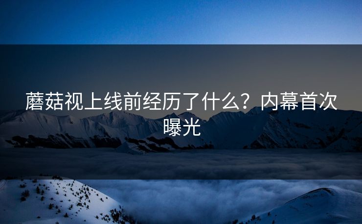 蘑菇视上线前经历了什么？内幕首次曝光