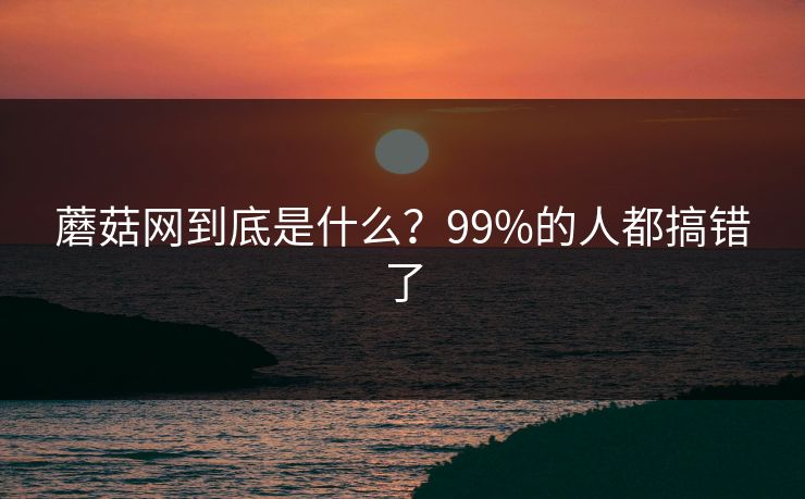 蘑菇网到底是什么？99%的人都搞错了