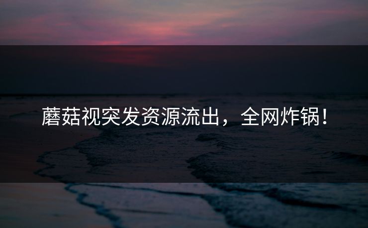 蘑菇视突发资源流出，全网炸锅！