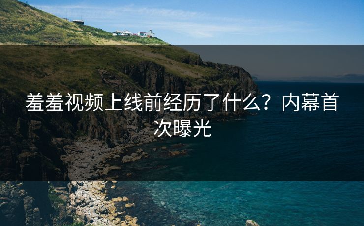羞羞视频上线前经历了什么？内幕首次曝光