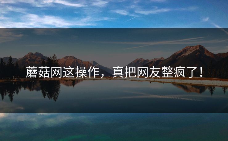 蘑菇网这操作，真把网友整疯了！