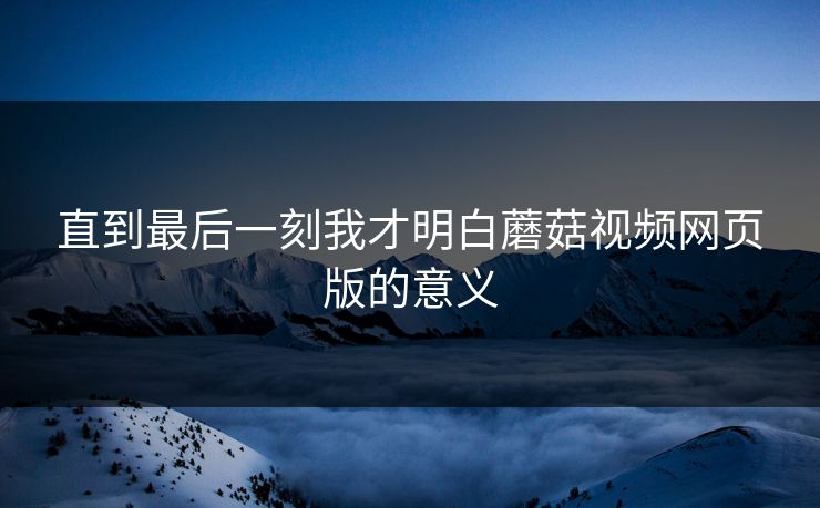 直到最后一刻我才明白蘑菇视频网页版的意义