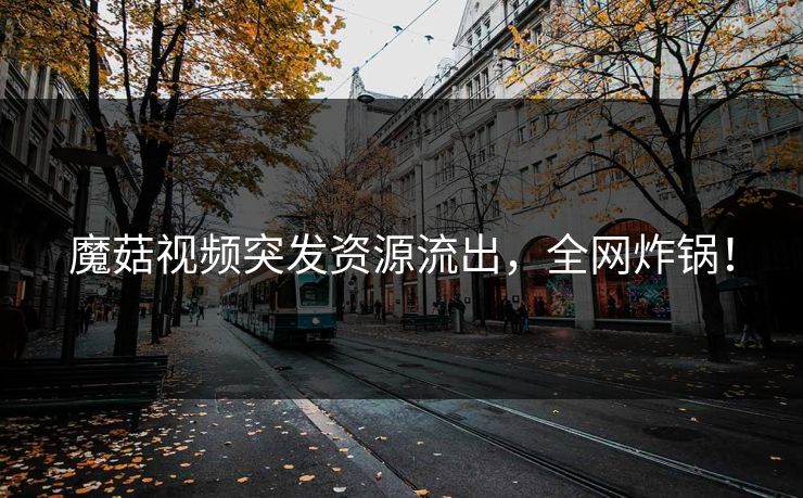 魔菇视频突发资源流出，全网炸锅！