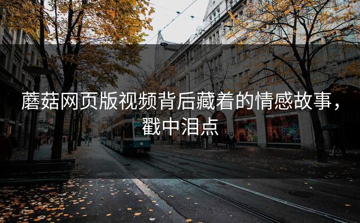 蘑菇网页版视频背后藏着的情感故事，戳中泪点