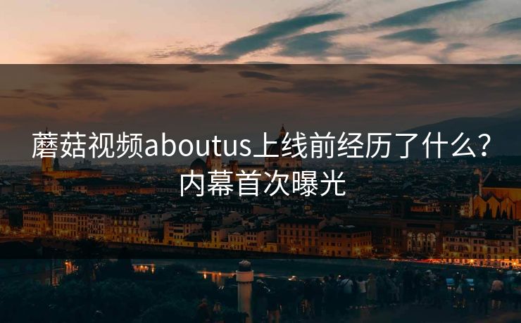 蘑菇视频aboutus上线前经历了什么？内幕首次曝光