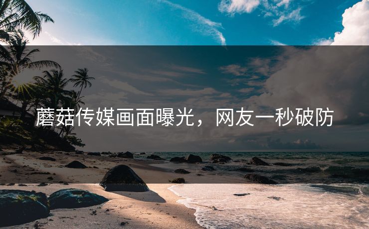 蘑菇传媒画面曝光，网友一秒破防