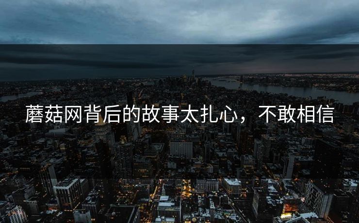 蘑菇网背后的故事太扎心，不敢相信