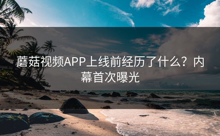 蘑菇视频APP上线前经历了什么？内幕首次曝光