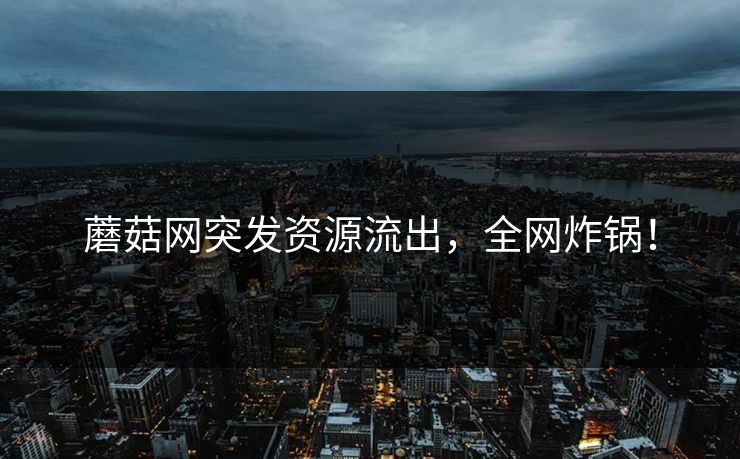 蘑菇网突发资源流出，全网炸锅！