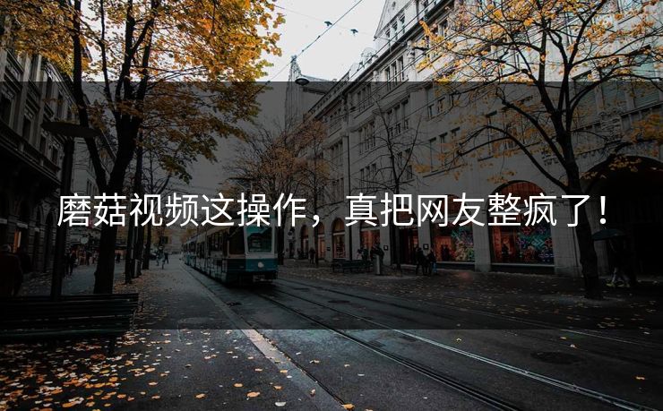 磨菇视频这操作，真把网友整疯了！