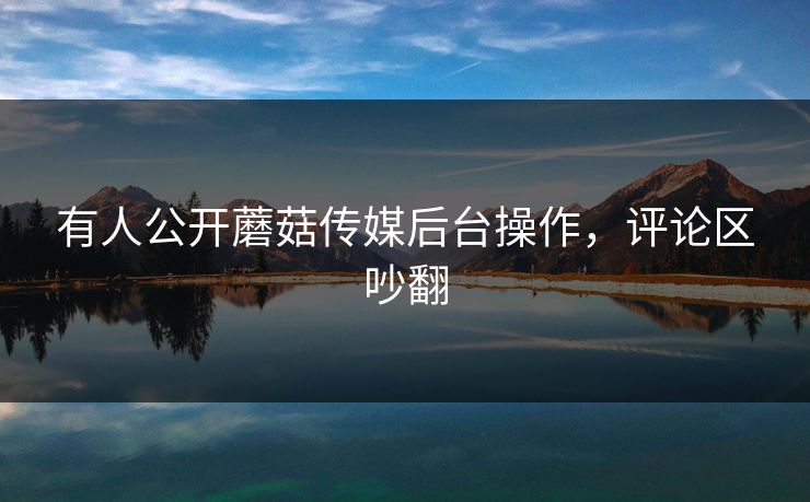 有人公开蘑菇传媒后台操作，评论区吵翻