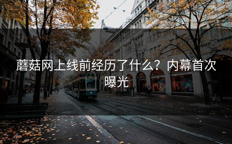 蘑菇网上线前经历了什么？内幕首次曝光