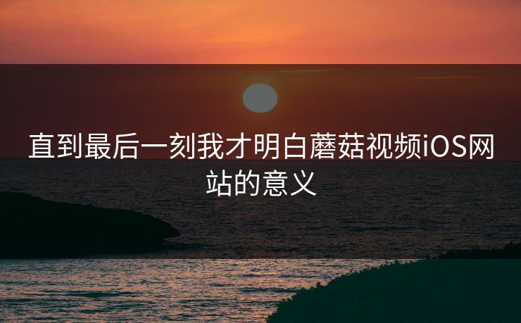 直到最后一刻我才明白蘑菇视频iOS网站的意义