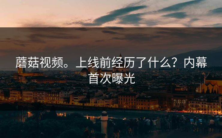蘑菇视频。上线前经历了什么？内幕首次曝光