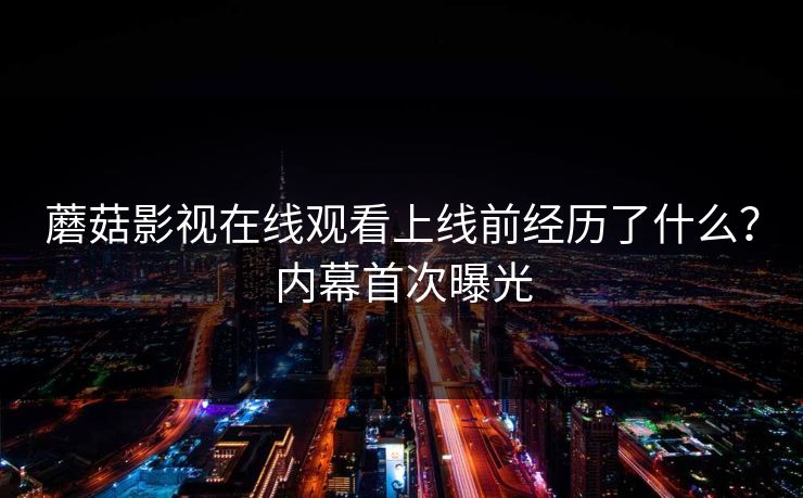 蘑菇影视在线观看上线前经历了什么？内幕首次曝光
