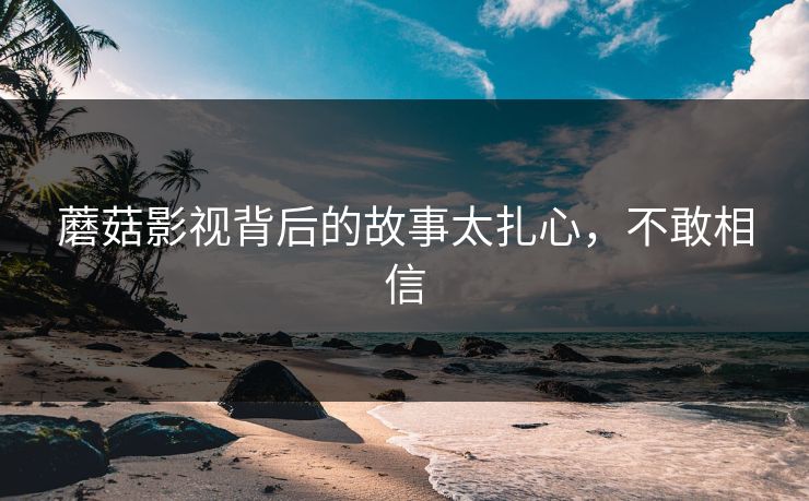 蘑菇影视背后的故事太扎心，不敢相信