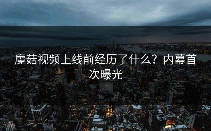 魔菇视频上线前经历了什么？内幕首次曝光