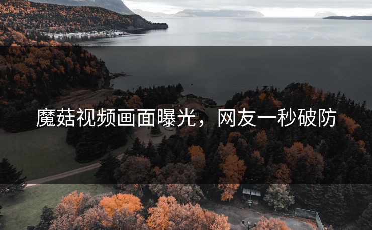魔菇视频画面曝光，网友一秒破防