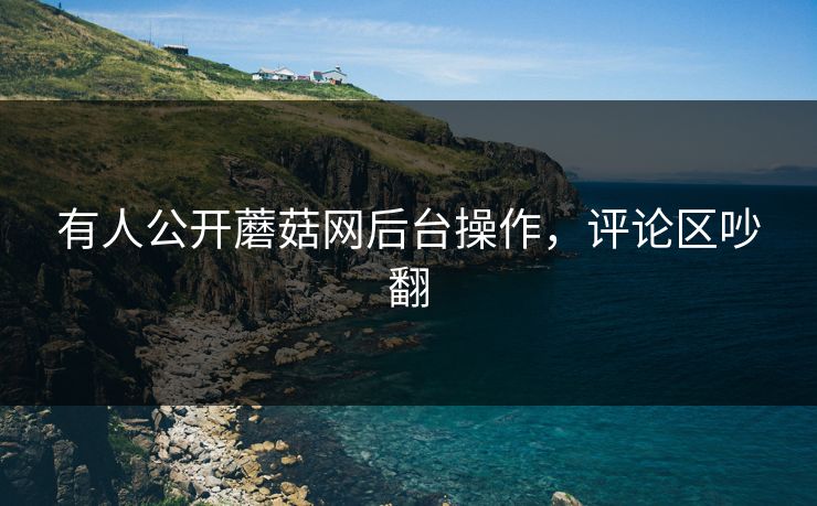 有人公开蘑菇网后台操作，评论区吵翻