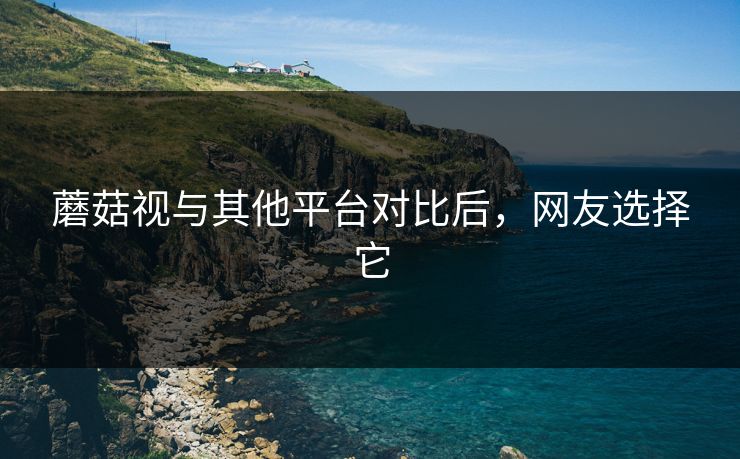 蘑菇视与其他平台对比后，网友选择它