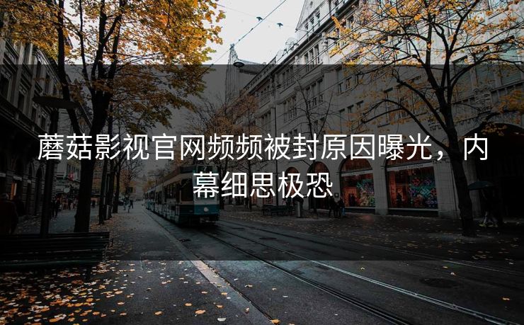 蘑菇影视官网频频被封原因曝光，内幕细思极恐