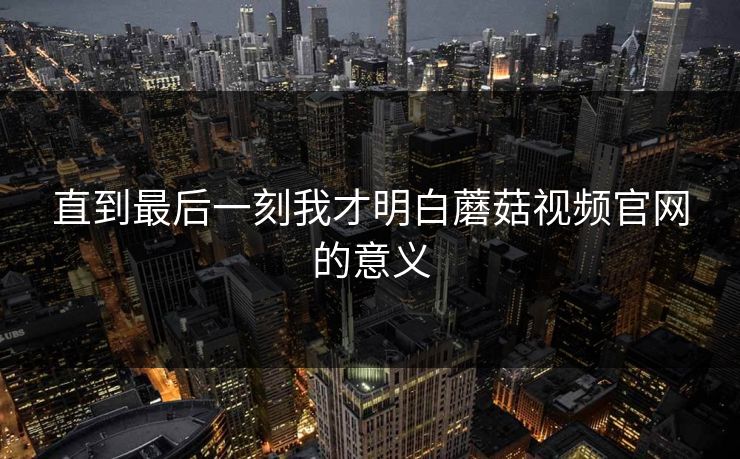 直到最后一刻我才明白蘑菇视频官网的意义