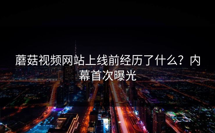 蘑菇视频网站上线前经历了什么？内幕首次曝光