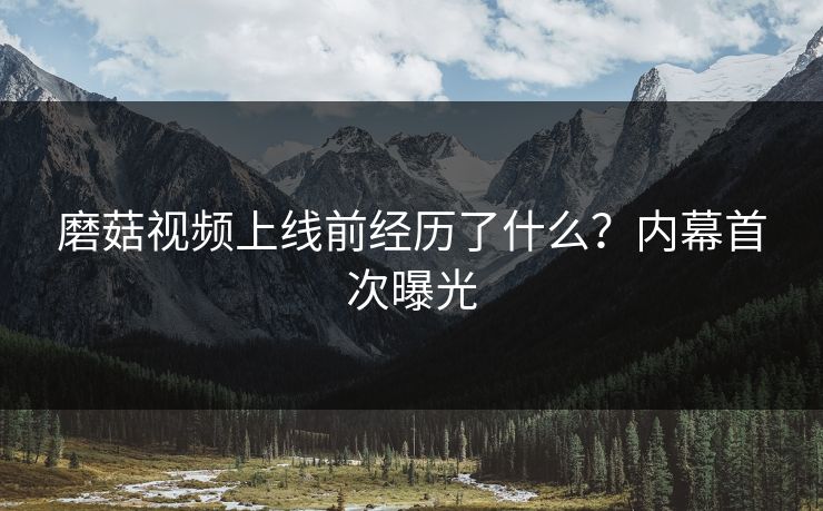 磨菇视频上线前经历了什么？内幕首次曝光