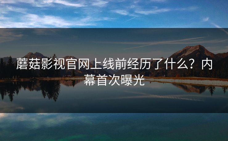 蘑菇影视官网上线前经历了什么？内幕首次曝光