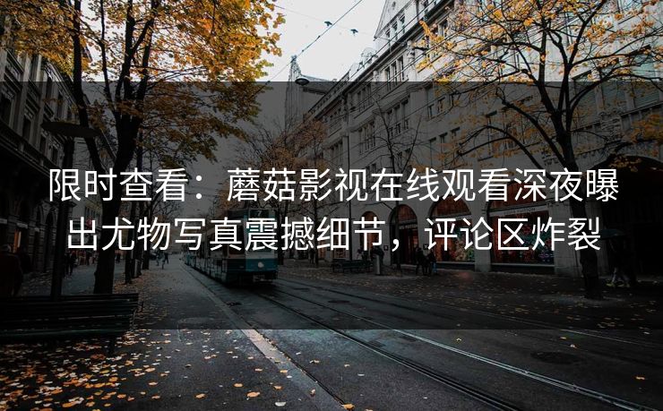 限时查看：蘑菇影视在线观看深夜曝出尤物写真震撼细节，评论区炸裂