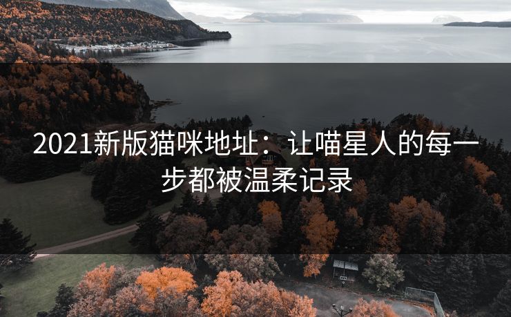 2021新版猫咪地址：让喵星人的每一步都被温柔记录