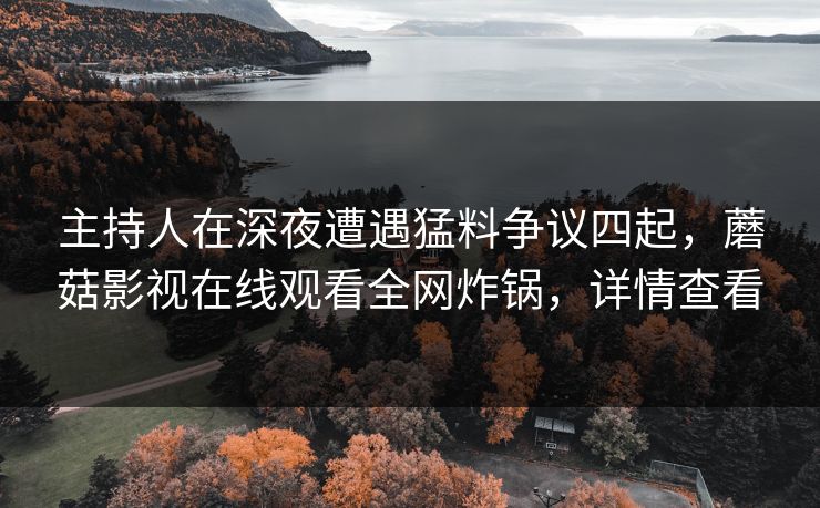 主持人在深夜遭遇猛料争议四起，蘑菇影视在线观看全网炸锅，详情查看