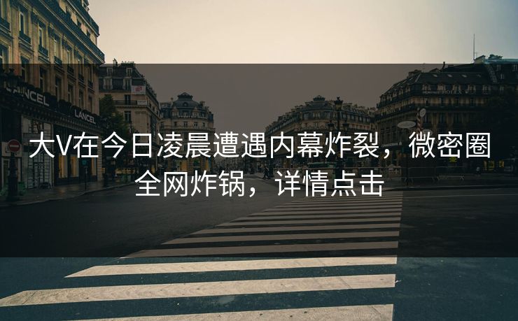 大V在今日凌晨遭遇内幕炸裂，微密圈全网炸锅，详情点击