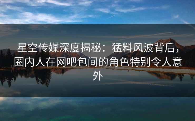 星空传媒深度揭秘：猛料风波背后，圈内人在网吧包间的角色特别令人意外