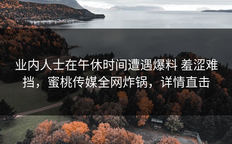 业内人士在午休时间遭遇爆料 羞涩难挡，蜜桃传媒全网炸锅，详情直击