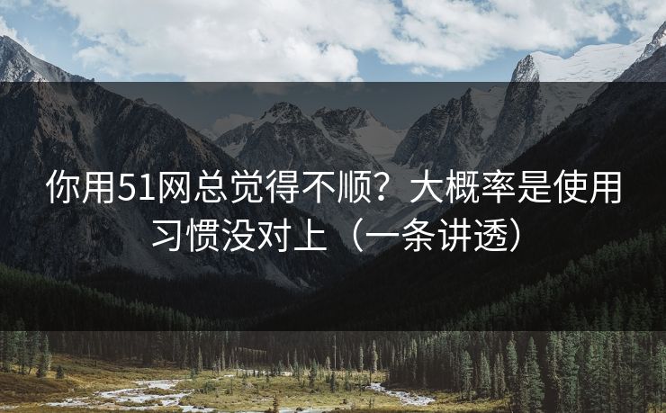 你用51网总觉得不顺？大概率是使用习惯没对上（一条讲透）